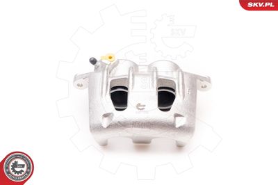 Brake Caliper 23SKV902