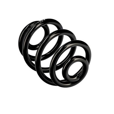 ARC SPIRAL EIBACH R10106 11