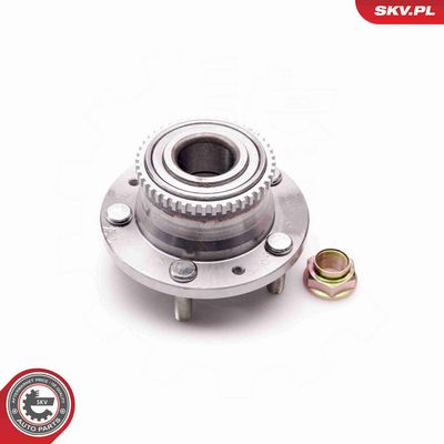 SET RULMENT ROATA ESEN SKV 29SKV036 1