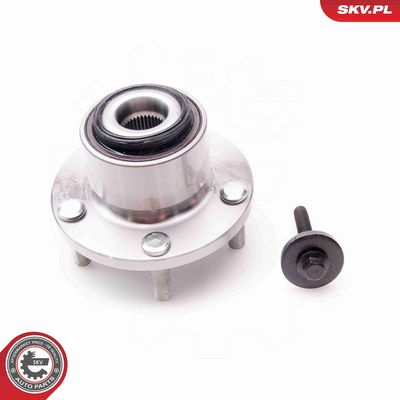 SET RULMENT ROATA ESEN SKV 29SKV021 1