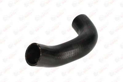 FURTUN EAR SUPRAALIMENTARE BIRTH 55633 6