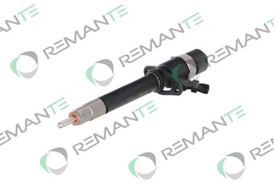 INJECTOR REMANTE 002003000196R 5