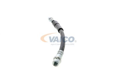 FURTUN FRANA VAICO V104119 22