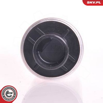 POMPA COMBUSTIBIL ESEN SKV 02SKV210 1