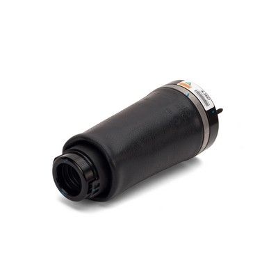 LUFTFEDER FAHRWERK Arnott A2587 1