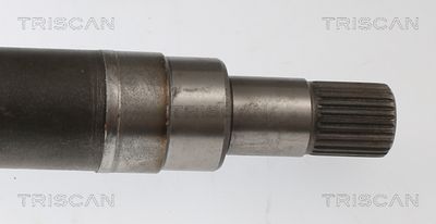 PLANETARA TRISCAN 854016658 3