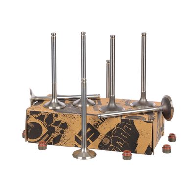 SET SUPAPE SUPAPă ADMISIE/EVACUARE ET ENGINETEAM VS0023VR1 7