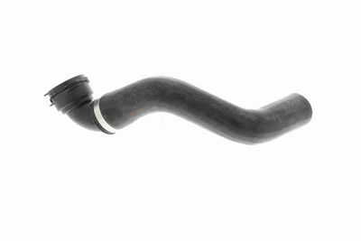 KüHLERSCHLAUCH VAICO V480143 5