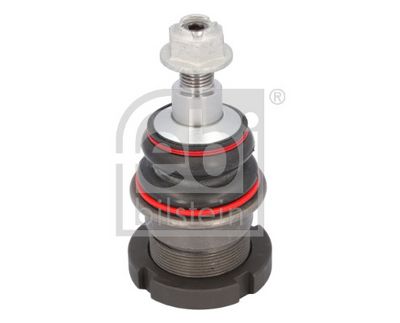 Šarnyras / girgždukas