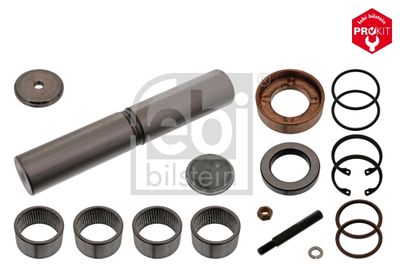 FEBI BILSTEIN Reparatursatz, Achsschenkelbolzen