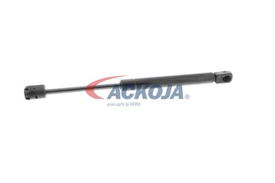 AMORTIZOR PORTBAGAJ ACKOJA A320134 35