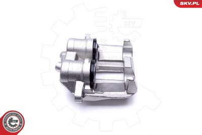 Brake Caliper 46SKV633