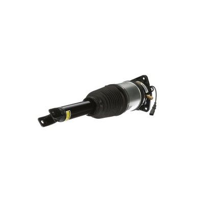 LUFTFEDERBEIN Arnott AS2968 12