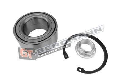 GT-BERGMANN Automotive Rato guolio komplektas