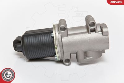 EGR Valve 14SKV076