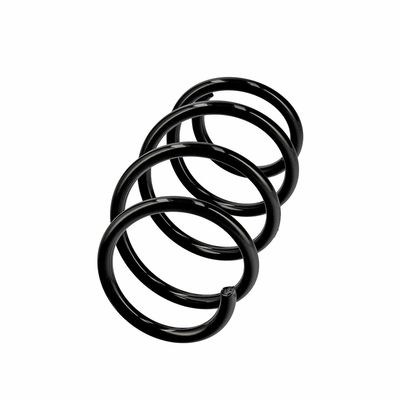 ARC SPIRAL EIBACH R19597 2
