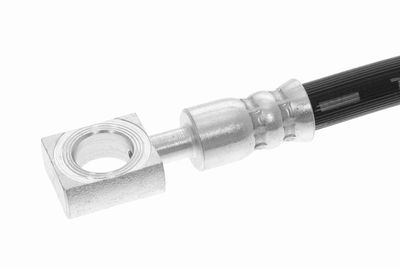 FURTUN FRANA VAICO V107680 3