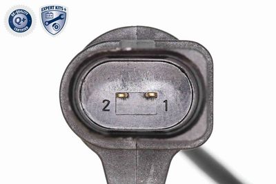 SET FRANA FRANA DISC VAICO V106750 2