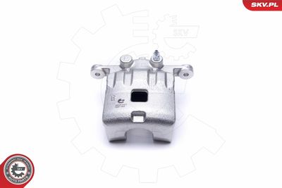 Brake Caliper 56SKV021