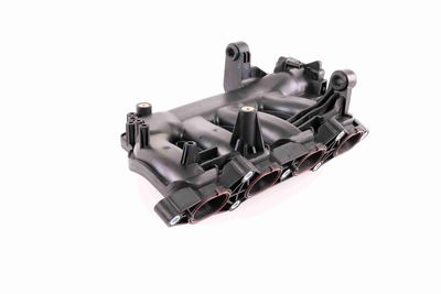 MODUL CONDUCTA ADMISIE VAICO V301074 9