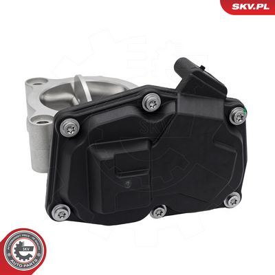 Gasreglage ESEN SKV 12SKV217