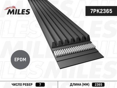 Поликлиновой ремень MILES 7PK2365 для VW TOUAREG