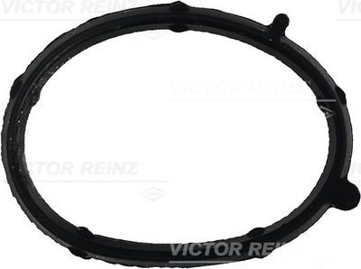 VICTOR REINZ 71-35681-00 Прокладка впускного коллектора  для FIAT PUNTO (Фиат Пунто)
