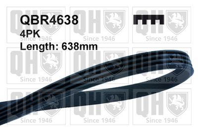 Поликлиновой ремень QUINTON HAZELL QBR4638 для FIAT STILO