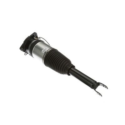 LUFTFEDERBEIN Arnott AS2968 31