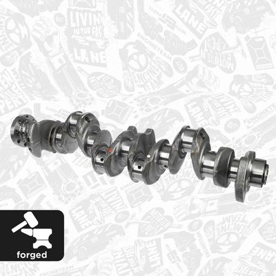 ARBORE COTIT ET ENGINETEAM HK0211 2