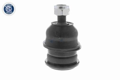 CAP DE BARA ACKOJA A321160 4