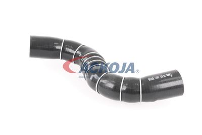 FURTUN EAR SUPRAALIMENTARE ACKOJA A389602 40