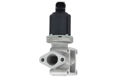 EGR Valve ENT500023