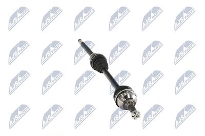 PLANETARA NTY NPWPE124 14