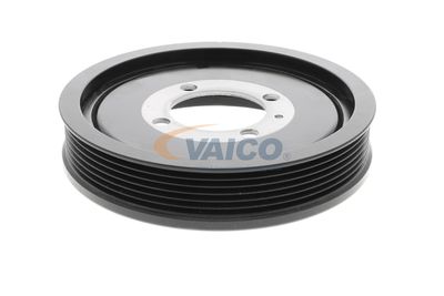 FULIE CUREA ARBORE COTIT VAICO V401178 38