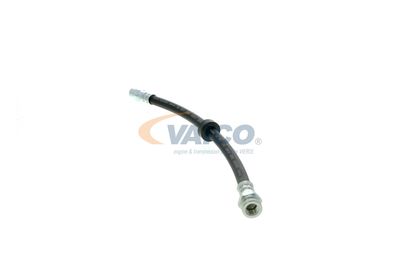 FURTUN FRANA VAICO V104191 20