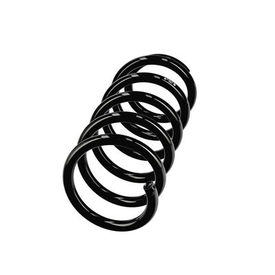 ARC SPIRAL EIBACH R10978 14