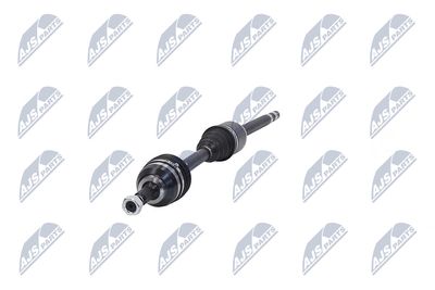 PLANETARA NTY NPWCT026 18