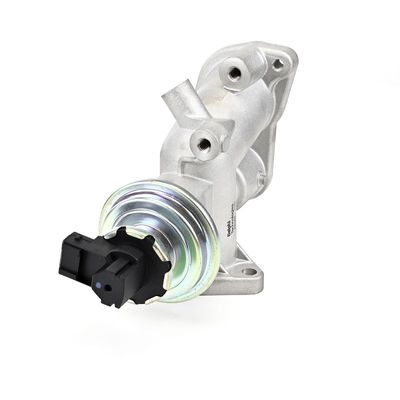 SUPAPA EGR DELPHI EG1063912B1 22