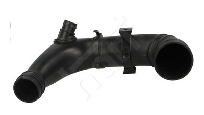 Intake hose, air filter