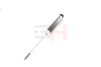 AMORTIZOR GH GH333673 14