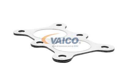 DICHTUNG ABGASKRüMMER VAICO V105093 19