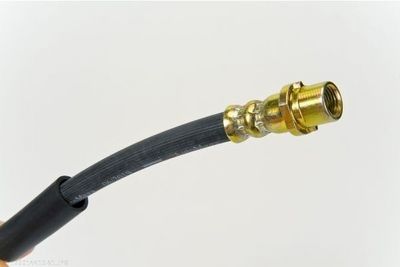 FURTUN FRANA AUTOMEGA 120014410 1