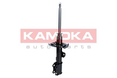 Shock Absorber 2000425