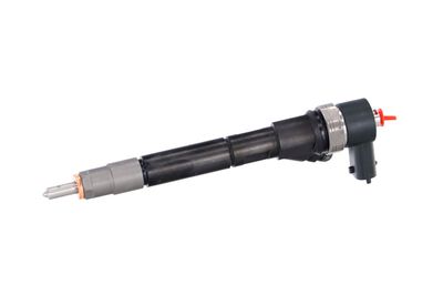 INJECTOR REMANTE 002003000980R 8