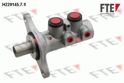 FTE H229145.7.1 Ремкомплект главного тормозного цилиндра  для FIAT PANDA (Фиат Панда)