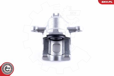 Brake Caliper 55SKV083