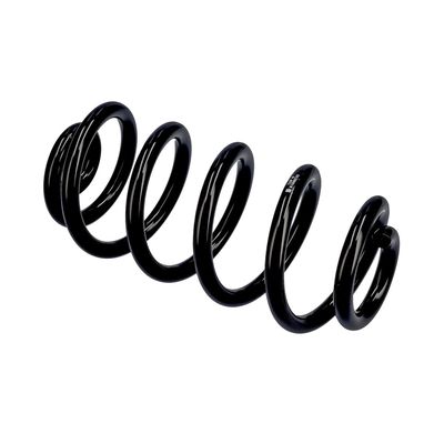 ARC SPIRAL EIBACH R10553 21