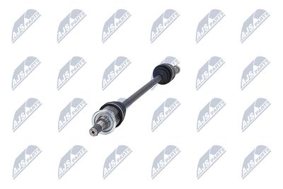 PLANETARA NTY NPWMS124 36