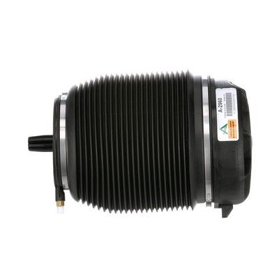 LUFTFEDER FAHRWERK Arnott A2960 52